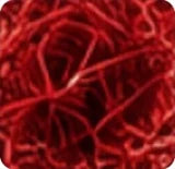 Illustrative saffron extract ingredient image